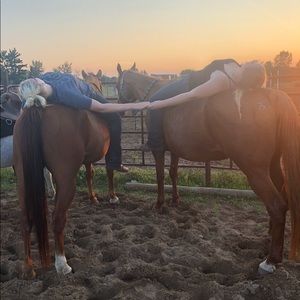 Meet your Posher, Christa